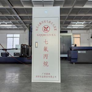 FM200 Gas Suppression System for Valuable Archives Room