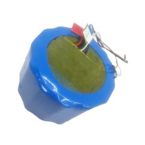 22.0Ah 23.0Ah 18650 Cells Lithium Polymer Battery Pack