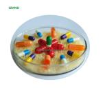 Powder Capsule Filling Machine Low Noise Multi Function High Precision