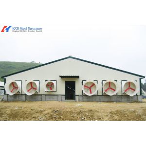 Steel Structure Broiler Chicken House with Automated Feeding System
