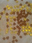 Paintball Samll Capacity Automatic Capsule Machine With Fromula / Raw Material