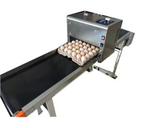 China Smart 600 DPI Egg Inkjet Batch Coding Machine , Continuous Ink System Printer wholesale