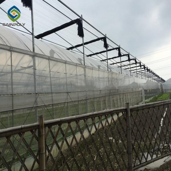 20ft Pe Film Multi Span Greenhouse With Mesh Netting