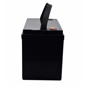 PINSHENG 12v 100 Ah 12v 300ah Deep Cycle Lithium Ion Battery 500ah For Home