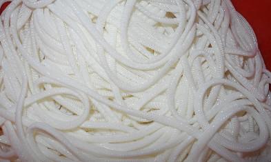 Quality Large Polyester Spiral Mesh Monofilament Polyester Mesh White And Blue for sale
