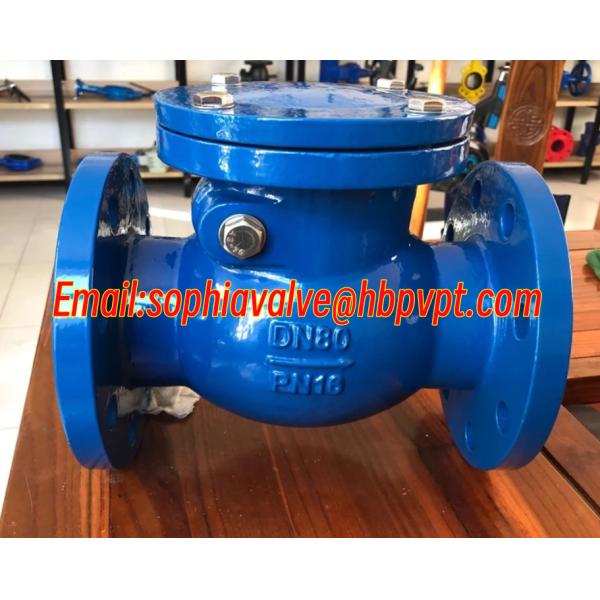 GG25 low pressure cast iron flanged swing check valve blue color