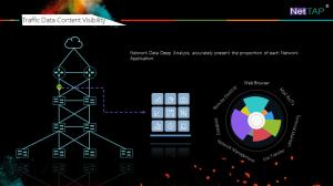 NetTAP® MATRIX NetInsight™ Network Traffic Data Visibility of Traffic Data Content Visibility