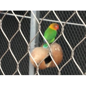 Lightweight Stainless Steel Aviary Mesh Plain Weave Without Toxic Material