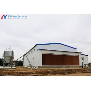 Steel Structure Broiler Chicken House with Automated Feeding System
