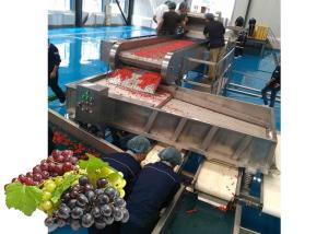 China Industrial Grape Flavored Beverage Production Line For Grape Processing Plants wholesale