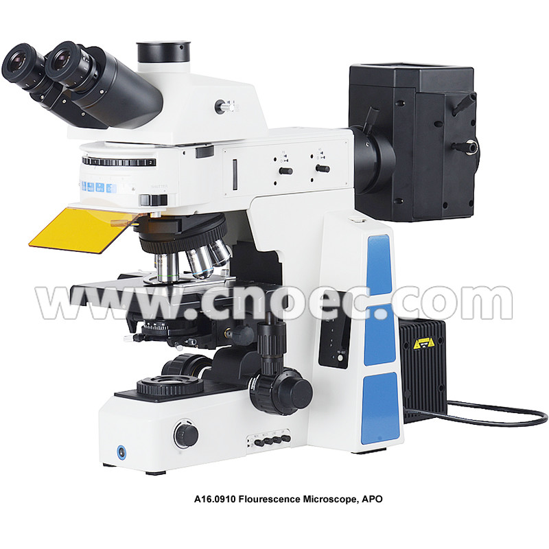 China Trinocular Infinity Optical Fluorescence Microscope With Halogen Lamp wholesale