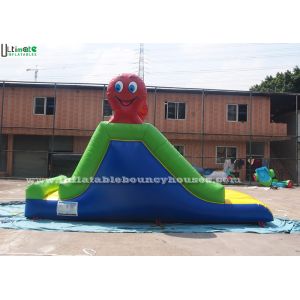 Custom Made Indoor Mini Commercial Inflatable Slides / Caterpillar Inflatable