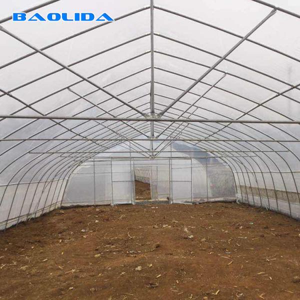 Quality Strong Packing Polytunnel Greenhouse Hobby Commercial Agricultural Support for sale
