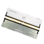 Shenzhen Consumer Electronics DDR5 Manta Standard U-DIMM 16GB 5600MHz Udimm PC