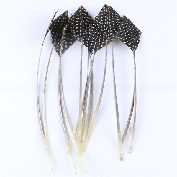 Raw Pattern Millinery Feather Arrow Head Guinea Fowl Feather Quill Fast Shipping