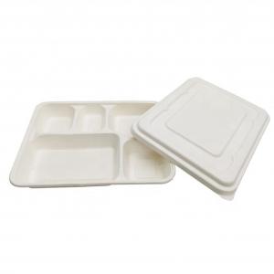 China Biodegradable Food Box White Color Food Grade Sugarcane Pulp Material Non Pollution wholesale