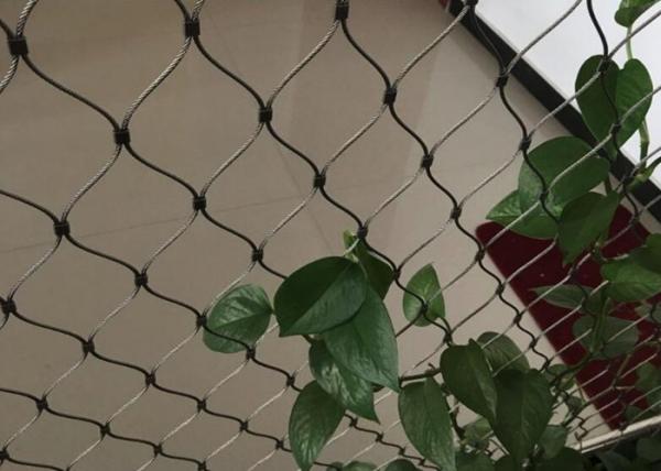 Quality Stainless Steel Wire Rope Plant Trellis Systems Climbing Net Customized Size for sale