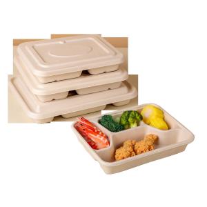 Sustainable Tableware Sugarcane Automated Pulp Molding Machine