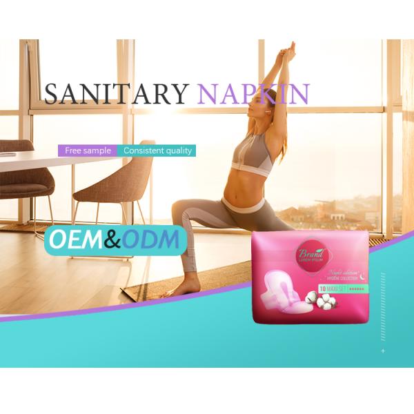 ISO9001 CE Certified Customized Herbal Anion Women's 2022 Incontinence Panty Liner