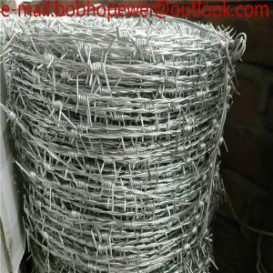 China Galvanized safety barbed wire/galvanized decorative barbed wire fencing/barbed wire/low price barbed wire roll fence on sale