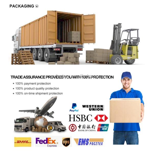 12V 4A 3A 2A Solar Auto Digital Battery Charger with LCD Display Reverse Connecting Protection Connector Current Protection