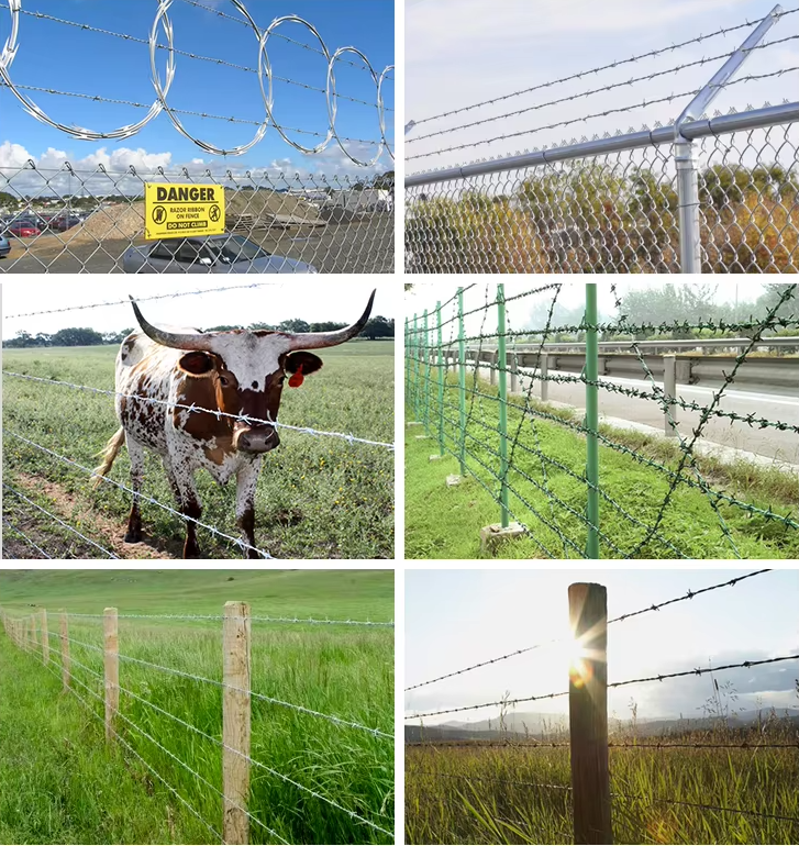 Hot-Dipped Galvanized Razor Barbed Wire with Anti-Corrosion Coating and Sharp Razor Blades for Perimeter Security