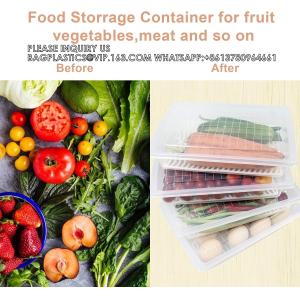 Food Storage Container, Plastic Food Containers With Removable Drain Plate Lid,