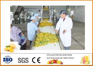 CFM-M-03-03T 3T/H Mango Processing Line Professional and High Efficiency