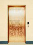 6 Stops MRL Home Elevators Microcontroller Machineless