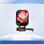 2.01inch AMOLED LCD Display With 240*296 Resolution QSPI Interface High