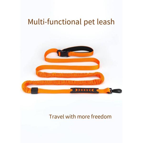 Custom Multi Functional Pet Leash Hands Free Dog Leash And Collars Set