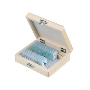 China Biological Microscope Prepared Slides 25Pcs For Science Education wholesale