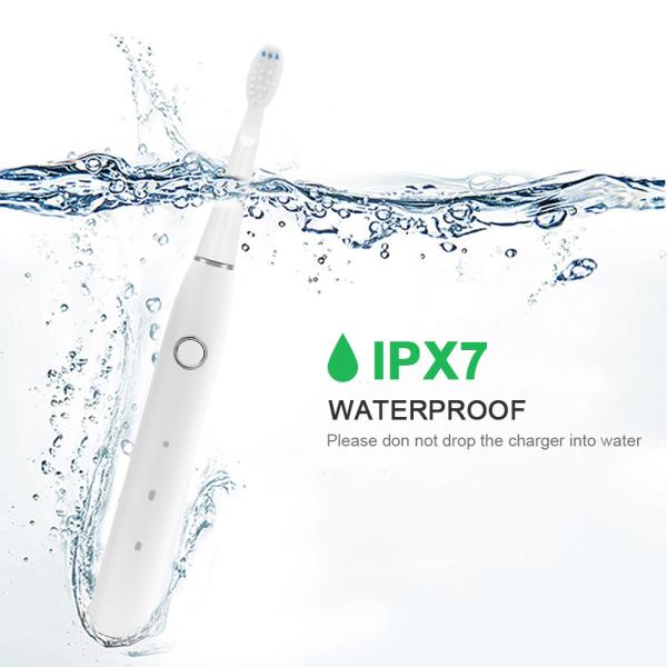 Quality Slim Portable Sonic Automatic Toothbrush 500mAh Wear Resistant for sale