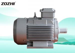 China IEC Standard 3 Phase Induction Motor Aluminum 12-15HP 380V With 100% Copper Wire on sale