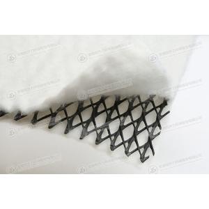 Composite Hdpe Geonet Fabric Net Board filtration Double sided