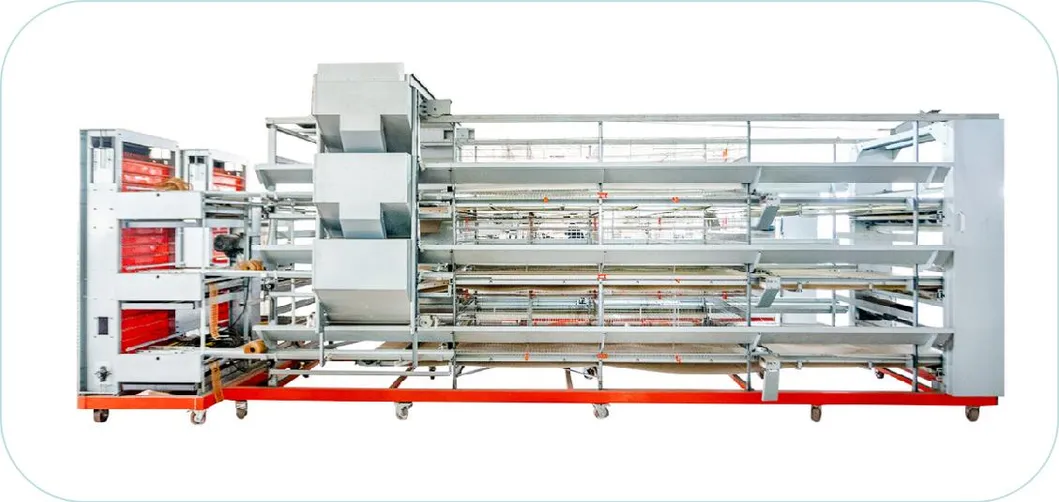 Rust Resistant Commercial Layer Cages Hot Dip Galvanized Poultry Battery Layer Cage