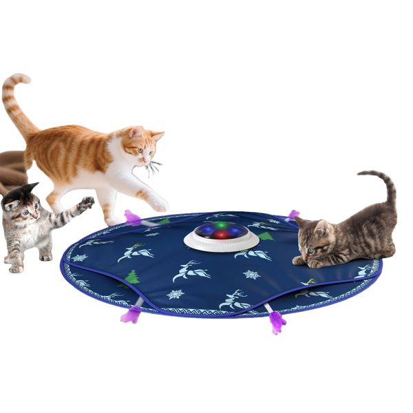 Interactive Dog Agility Ultrasonic Pet Anxiety Relief Agility Training Pet Training Products