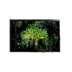 VVX10T022N00 10.1 inch eDP LCD Screen Display Panel