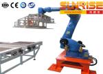 Robot Palletizing System 20 Boxes Per Minute Single Station Robot Palletizer