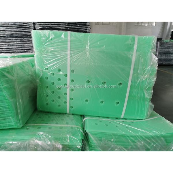 UV Stabilize Corflute Plant Guard