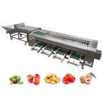 Industrial Automatic Roller Sorting Machine For Sorting And Grading