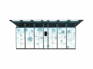 PIN Code Access Steel Parcel Locker For Delivery Service Remote Control Platform