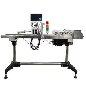 10 Inch Touch Screen Online Carton Coder Expiration Date Batch Code Printer with