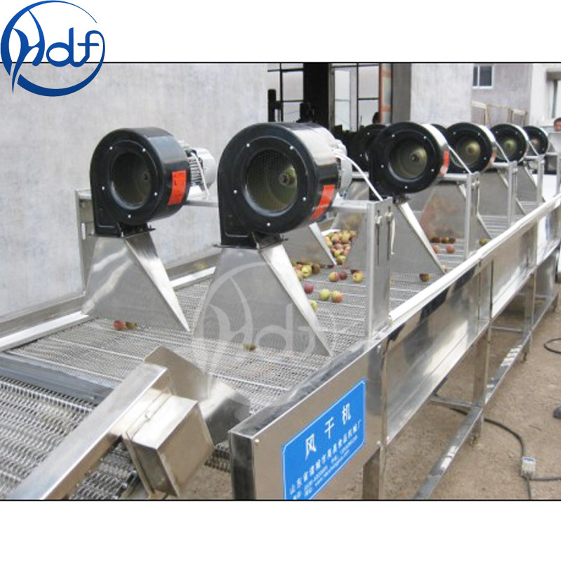 Continuous Vegetable Fruit Dryer Machine , Food Dehydrator Machine Conveyor Belt