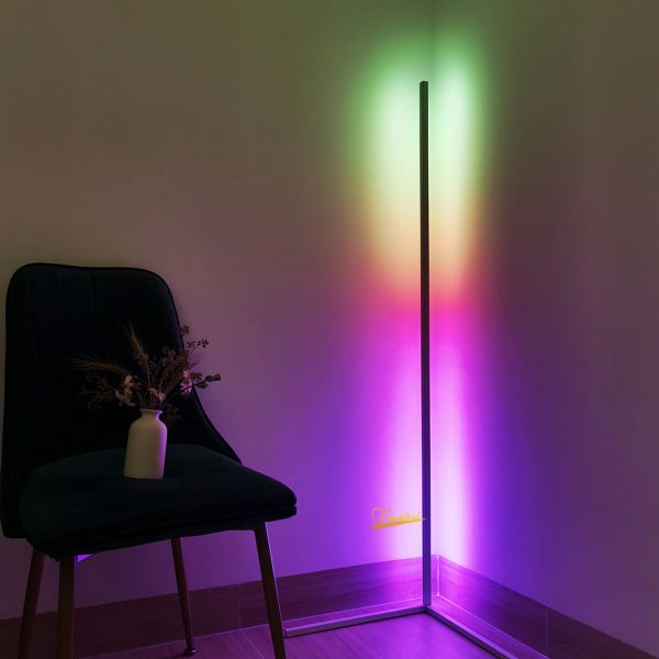 Modern RGB Floor Lamps Floor Lights Interior Atmosphere Lamp Colourful corner floor lamp(WH-MFL-01)