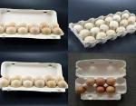 Customized Paper Egg Tray Machine Semi Automatic Type Computer Controlled