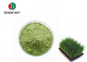 China 200 Mesh Organic Barley Grass Powder / Green Barley Grass Japan 100% on sale
