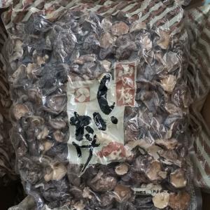 China Natural Bulk Dry Shiitake Mushroom Dried Shiitake Mushrooms Organic wholesale