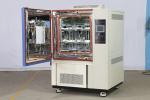 Programmable Controller Constant Humidity Chamber With PU Movable Wheel