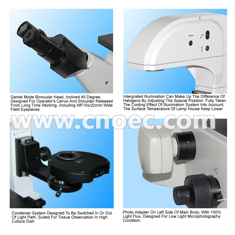 Infinity Objective Inverted Optical Microscope Phase Contrast Microscope Bright